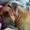 Merete D