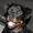 * *Rottweiler Von hause NOMIS* *