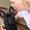 Vibeke  M