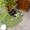 Dorthe N