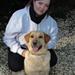 Hundepasning Nordjylland