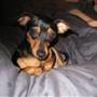 stina r