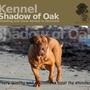 Kennel Shadow of Oak .