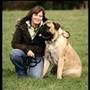 *Brak's Bullmastiff *