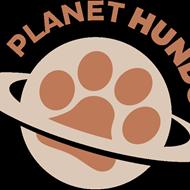 Planet H