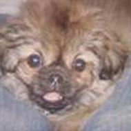 Winnie P