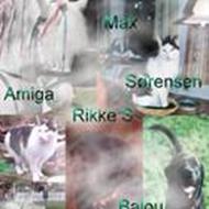 Rikke S