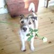 Lasse og Christina H