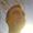 Steffen K