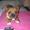 Envy aka Paten -