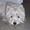 Gitte S