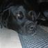 cecilie t