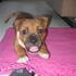 Envy aka Paten -