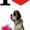sanne h