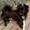 Lea Therese H