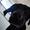 Tyson&Tinka S