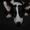 Tine F