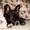 Tine Charlotte L