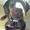 Ninna *Xenta R.I.P* .