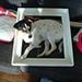 hjælp.. to lille hunde og en mantaff. 