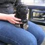 Team Benji min bamse Ditte S