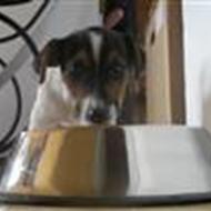 Jesper og Charlotte H