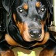 Hanne F
