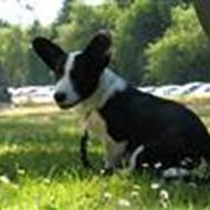 `¤´´LudviG``¤´ H