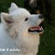 Charlotte & Nikolaj .