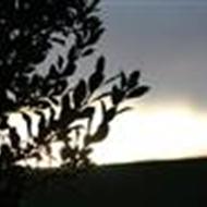 >> Jeanett - Amatør fotograf << .