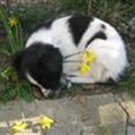 Karina og Christoffer N