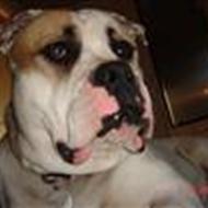 Hans-Henrik & Jane P