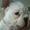 AnnCathrine M