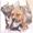 //GiZmO .