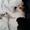 Sanne M