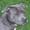 Helene Therese M