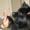 Pernille, Addie og Balou K