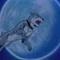 * Silver Fang *
