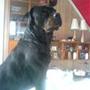 steffen a