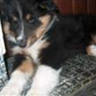 NadiaDybroSvendsen .