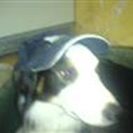 Camilla Rosenfeldt G