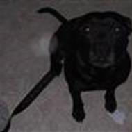 Jesper & Benedicte <3 .