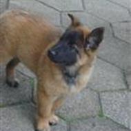 »'_chitto'smukkeste tæve ;x .