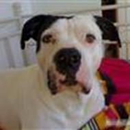 ****Angel****<'333<'333<'333<'333<'33 3