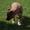 flemming k