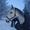 Cecilie S  
