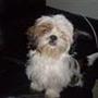 Malene N
