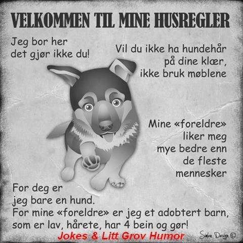 Morsomme bilder med tekst Morsomme bilder med tekst