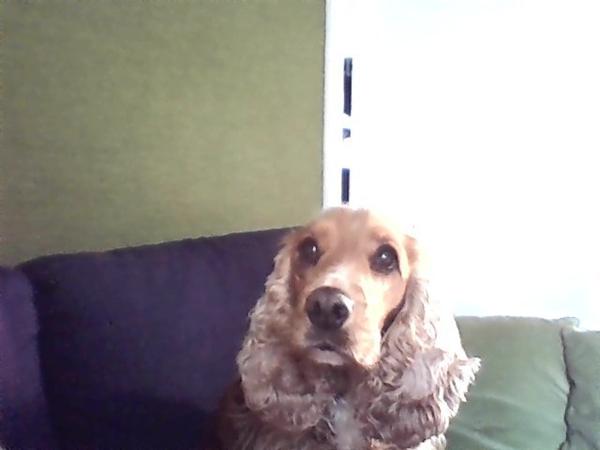 Nå, det er DERFOR....