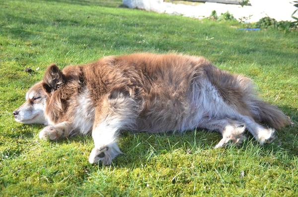 9 dage tilbage! Qiras babyer <3